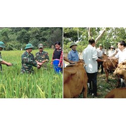 Mục tiêu chính sách xóa đói giảm nghèo giai đoạn 2021-2025