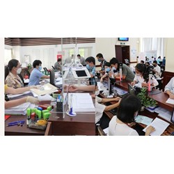 Công chức tập sự có cần người hướng dẫn hay không?