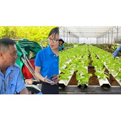 Xã viên hợp tác xã tham gia cùng lúc bảo hiểm bắt buộc tự nguyện?