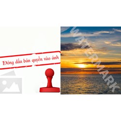 Watermark (Đóng dấu bản quyền hình ảnh) là gì?