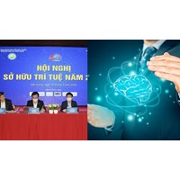 Nhiệm vụ, quyền hạn và cơ cấu tổ chức Viện Khoa học sở hữu trí tuệ