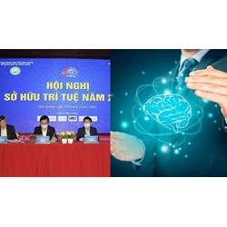 Nhiệm vụ, quyền hạn và cơ cấu tổ chức Viện Khoa học sở hữu trí tuệ