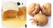 Quy định về nguyên liệu được coi là thuộc nhóm chung có nguồn gốc tự nhiên