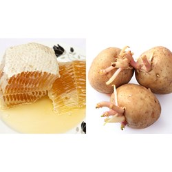 Quy định về nguyên liệu được coi là thuộc nhóm chung có nguồn gốc tự nhiên