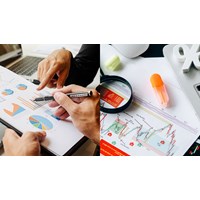 Có mấy loại báo cáo tài chính?