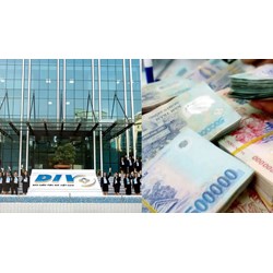 Cơ quan đại diện chủ sở hữu nhà nước với Bảo hiểm tiền gửi Việt Nam