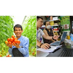 Công bố 11 thủ tục hành chính mới, thay thế trong lĩnh vực Trồng trọt