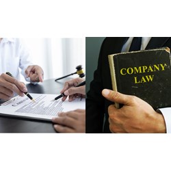 Xử phạt công ty luật cung cấp giấy tờ, thông tin chậm trễ cho cơ quan có thẩm quyền