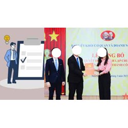 Công ty trách nhiệm hữu hạn 1 thành viên được thành lập tổ chức Đảng?