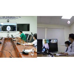 Danh mục bệnh, tình trạng bệnh được khám chữa bệnh từ xa