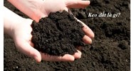 Keo đất là gì? Keo đất có tác dụng gì đối với đất trồng - Công nghệ 10