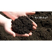 Keo đất là gì? Keo đất có tác dụng gì đối với đất trồng - Công nghệ 10