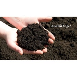 Keo đất là gì? Keo đất có tác dụng gì đối với đất trồng - Công nghệ 10