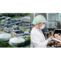 Phụ trách chuyên môn về dược của cơ sở sản xuất nguyên liệu là dược chất