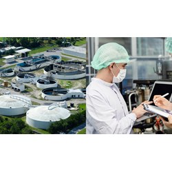 Phụ trách chuyên môn về dược của cơ sở sản xuất nguyên liệu là dược chất