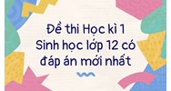 Đề thi Học kì 1 Sinh học lớp 12 có đáp án mới nhất