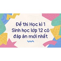 Đề thi Học kì 1 Sinh học lớp 12 có đáp án mới nhất