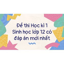 Đề thi Học kì 1 Sinh học lớp 12 có đáp án mới nhất