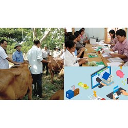 Quy định về chính sách tín dụng ưu đãi dành cho người nghèo