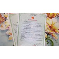 Không có bản chính giấy khai sinh có được đổi ngày sinh trên sổ bảo hiểm?