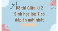 Đề thi Giữa kì 2 Sinh học lớp 7 có đáp án mới nhất