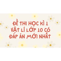Đề thi Học kì 1 Vật lý lớp 10 có đáp án mới nhất
