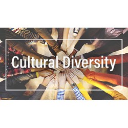 Bài tập tiếng Anh lớp 12 Unit 2 Cultural diversity có đáp án chi tiết