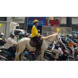 Hình phạt nào cho việc cưỡi ngựa ra đường