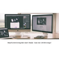 Hàm fwrite() trong thư viện C chuẩn - Làm việc với File trong C