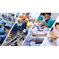Trách nhiệm của công ty đối với lao động nữ làm công việc có ảnh hưởng tới chức năng sinh sản
