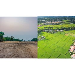 Thửa đất trống có nhiều người chung quyền sử dụng đất có thể cử người đại diện nhận sổ đỏ?
