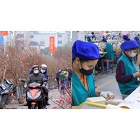 03 phương án nghỉ Tết Âm lịch cho người lao động tại doanh nghiệp