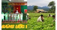 Phạm nhân bị phạt từ chung thân có thể được giảm xuống 30 năm vào dịp Tết Nguyên đán