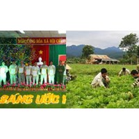 Phạm nhân bị phạt từ chung thân có thể được giảm xuống 30 năm vào dịp Tết Nguyên đán