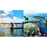 Cấm cản trở trái phép đường di cư tự nhiên các loài thủy sản