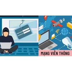 Dùng mạng máy tính làm đa cấp chiếm đoạt tài sản phạt mấy năm tù?