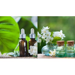 Nhập khẩu chế phẩm sinh học xử lý chất thải cần chứng nhận lưu hành?