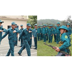 Tiêu chuẩn sức khỏe tham gia Dân quân tự vệ có giống tham gia nghĩa vụ?