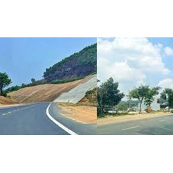 Mức phạt tiền tự ý san lấp mặt bằng trong hành lang an toàn đường bộ