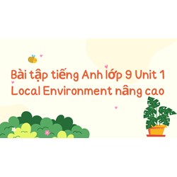 Bài tập tiếng Anh lớp 9 Unit 1 Local Environment nâng cao