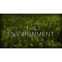 Bài tập tự luận Tiếng Anh lớp 9 Unit 6 The Environment có đáp án