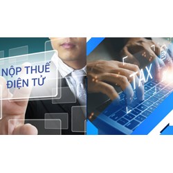 Hướng dẫn nộp thuế môn bài 2024 online trên website thuế điện tử?
