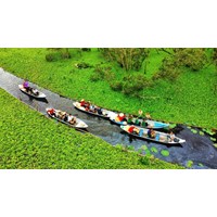 Thuyết minh Rừng tràm Trà Sư chọn lọc hay nhất