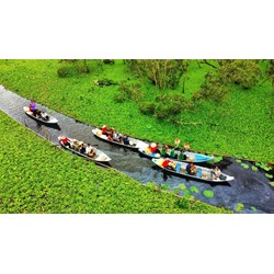 Thuyết minh Rừng tràm Trà Sư chọn lọc hay nhất