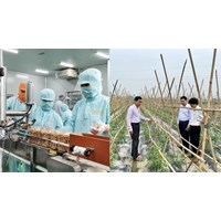 Xây dựng danh mục dịch hại diện điều chỉnh trong kiểm dịch thực vật