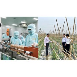 Xây dựng danh mục dịch hại diện điều chỉnh trong kiểm dịch thực vật