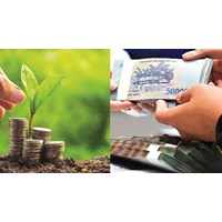 Hỗ trợ lãi suất dự án thuộc mục phân loại xanh sau khi hết hợp đồng vay