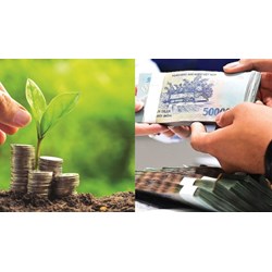 Hỗ trợ lãi suất dự án thuộc mục phân loại xanh sau khi hết hợp đồng vay