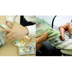 Thời hạn giám định tư pháp hoạt động ngoại hối và kinh doanh vàng