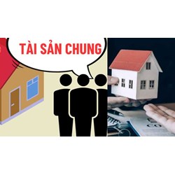 Có phải chia thừa kế lại nếu sau khi chia thừa kế của chồng người vợ mới phát hiện có thai?